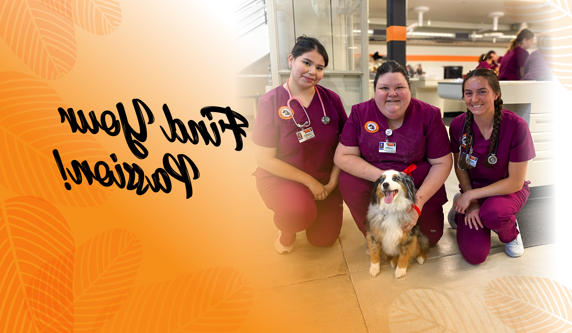 find your passion with photo of 3 veterinary technology students and a dog